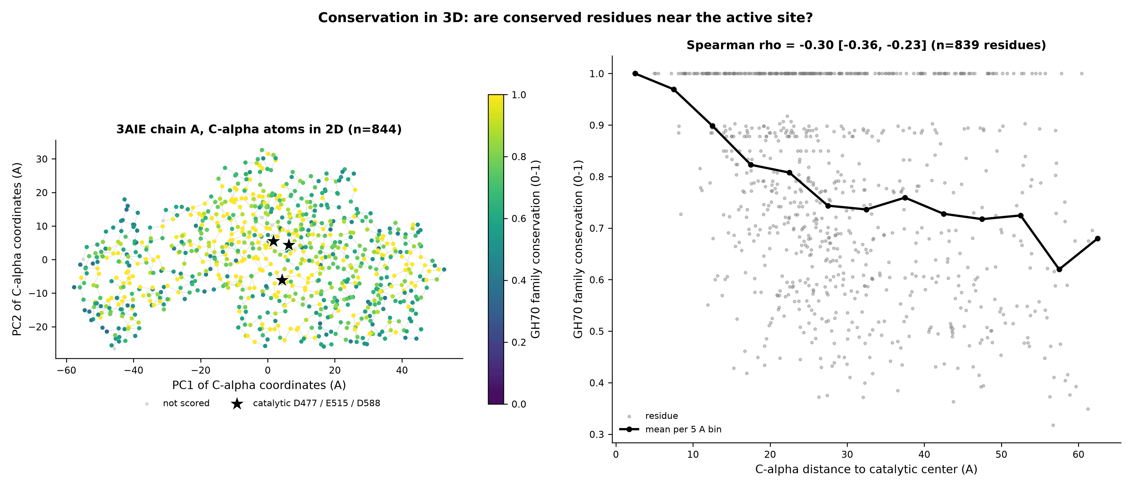 Map of GtfC residues colored by conservation beside a scatter plot of conservation against distance from the catalytic center.